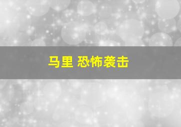 马里 恐怖袭击